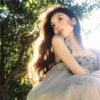 森林泰山2